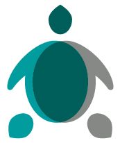 STU_logo_WEB-02
